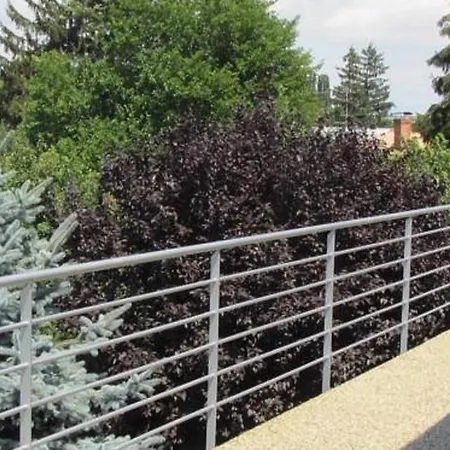 House منزل للإقامة *